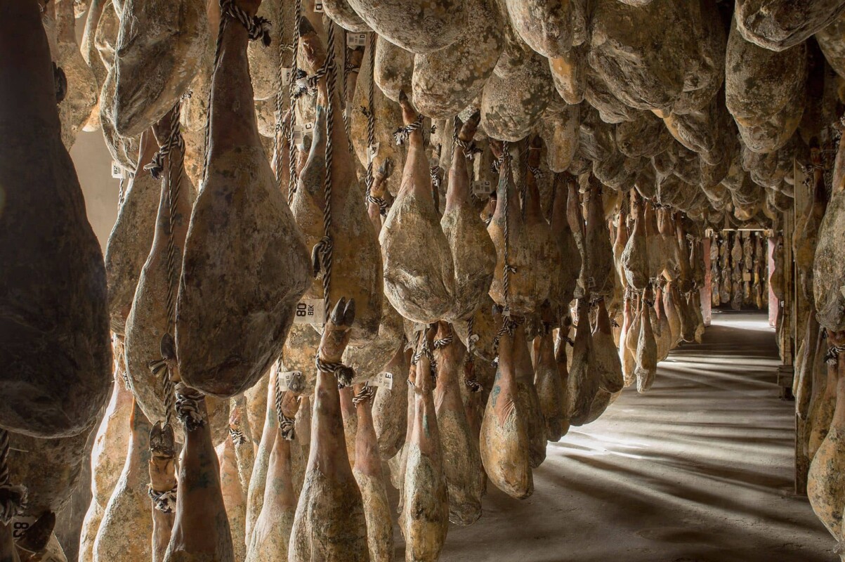 Jamones ibéricos durante su proceso de curación en bodega natural marcial