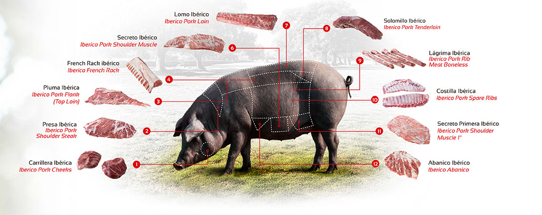 despiece marcial Guijuelo, cortes selectos carne ibérica